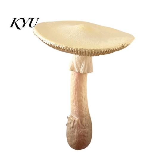 Mushroom Refrigerator Magnets 3D Magnet, Resin Fake Decorative Realistic Photo Notes Holder for Whiteboard Cabinet Kitchen