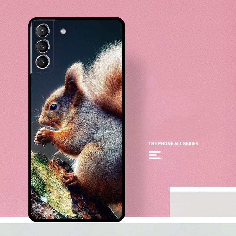 Squirrel Phone Case For Samsung Galaxy S25 S26 Ultra S20 S21 S22 S23 S24 Plus S10 S25 FE Cover Coque