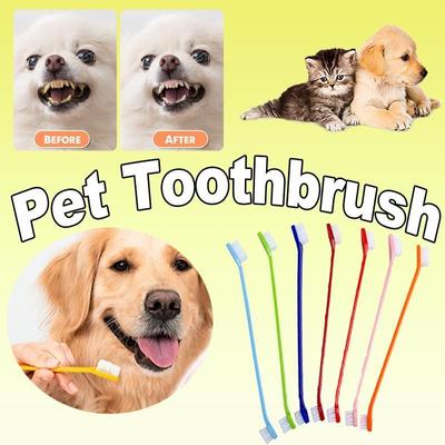 Pet cane gatto spazzolino da denti toelettatura dentale pulizia alito cattivo cura dei denti cane gatto roba lavaggio strumenti per la pulizia dei denti 20 pezzi / 10 pezzi / 5 pezzi / 2 pezzi / 1 pezzo