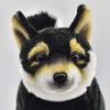 BH7242 HANSA Black Shiba 50
