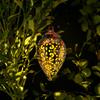 1PC Solar Olive Branch Pendant - Water Drop Iron Art, Projection Lamp, Projection Lamp, Garden Decoration, Atmosphere Creation