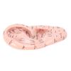 17 cm Akupunkturpunkter Öronmassage Modell Öronzon Massage Modell Laboratoriematerial för Undervisning Reflexologi
