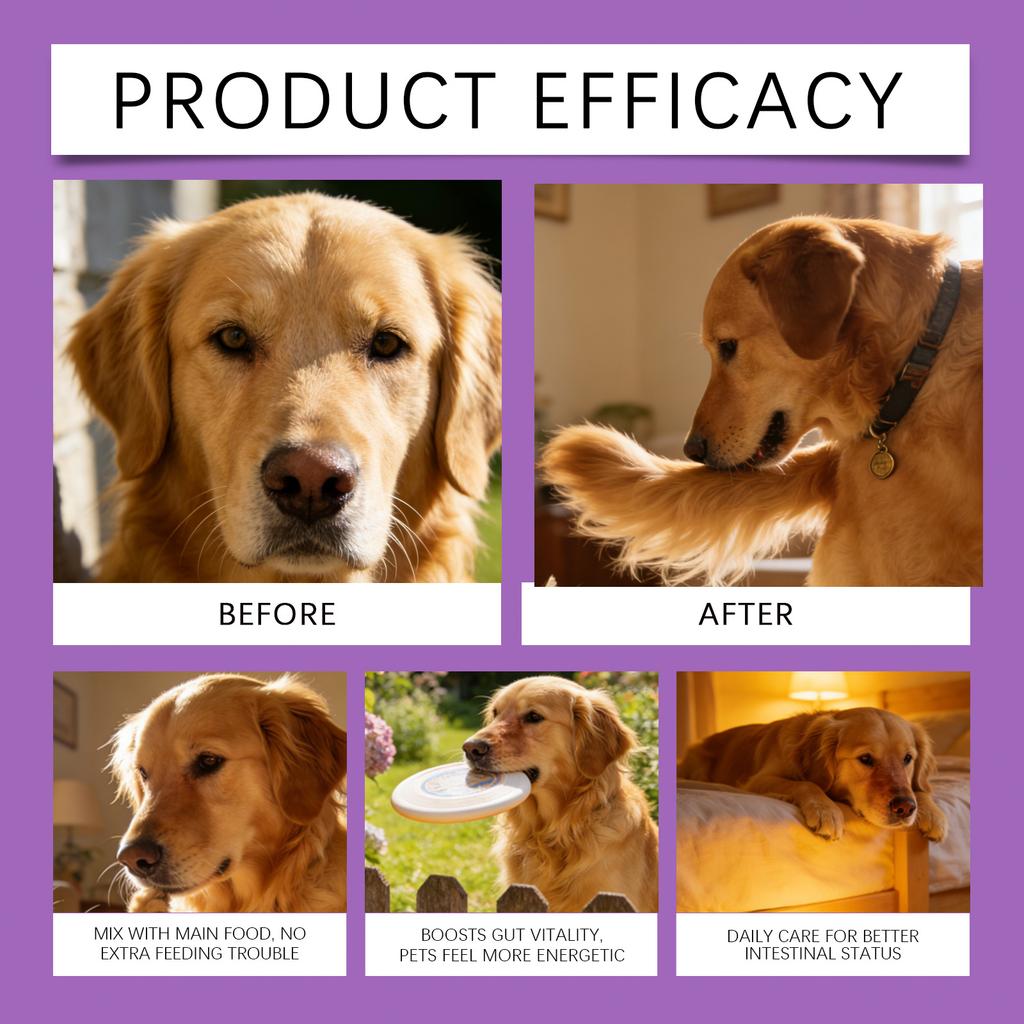 Probiotisk tarmpulver for hund