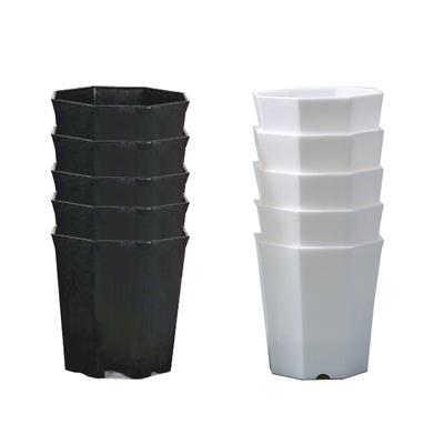 10pcs Octagonal Mini Flowerpot Plastic Black White Solid Seedling Pot Desktop Succulent Decorations Combination Breathable TMZ