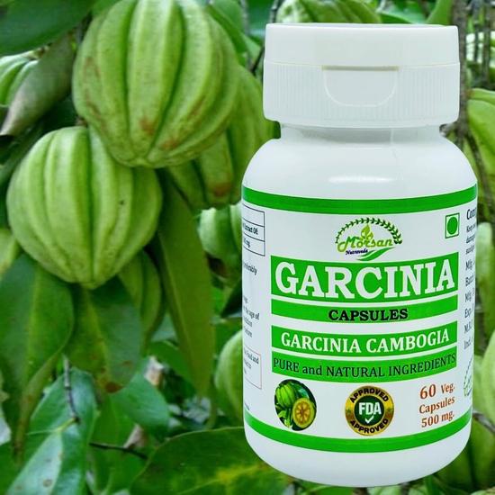 Morsan Nutraveda Kutki (Picrorhiza Kurroa) Extract Capsule - 60 Veg. Capsules X 500 Mg | 100% Herbal & High Potency (2 Packs of 60 Capsules)