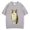 Cat Owl Funny Meowl Meme Brainrot Graphic Tshirts Unisex Unisex Fashion Short Sleeves Tshirt Cotton Oversized T Shirts Streetwear