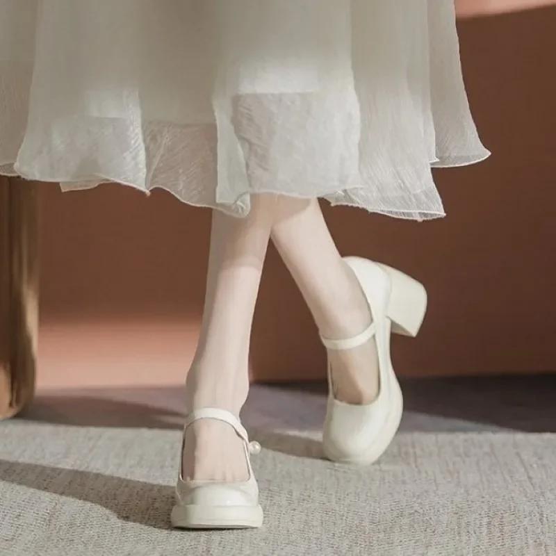 Ladies Shoes 2025 Mary Janes Women's High Heels Fashion Dress Pumps Women Round Toe Shallow Chunky Heels Shoes Women Zapatos