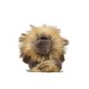 Lion Stuffed Plush Animal Pp Cotton Soft Charm Toy For Kids School Bag Decor