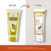 Jiva Olive Cream 100gm Pack Of 3 | Ayurvedic Face Cream For Skin Hydration, Anti-Aging, Wrinkle Reduction, And Collagen Boost