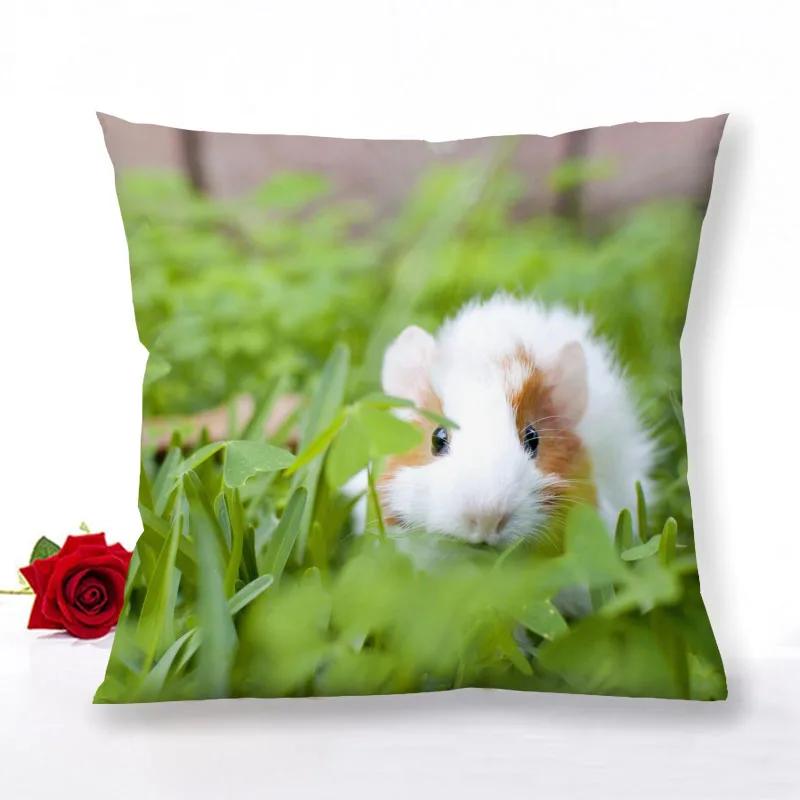 Guinea Pig Zipper Pillowcase Home Decor Satin Square  Bedroom