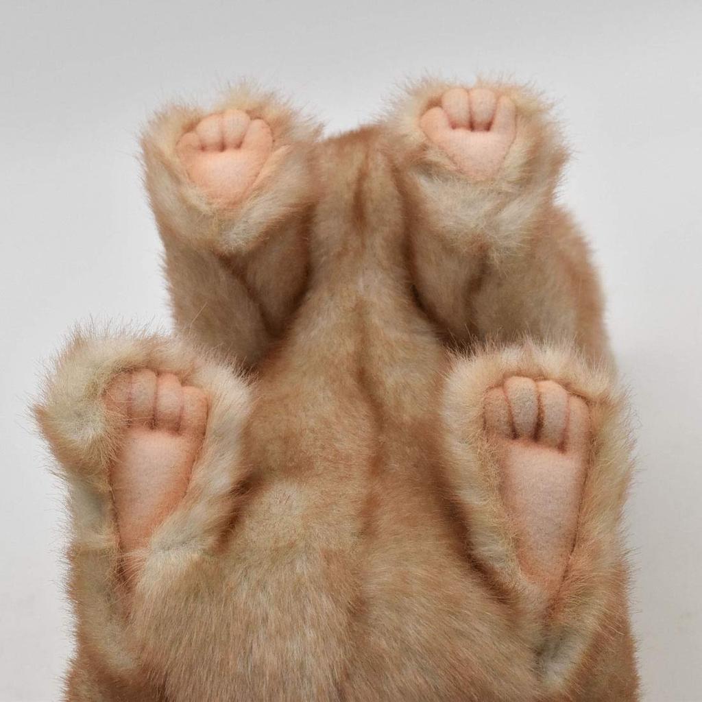 BH7797 HANSA Rabbit 35