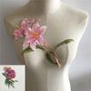 Embroidery Polyester Decorative Hollow Lace Flower Collar Diy Sewing Lace Collar Dress Accessories