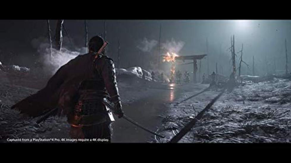 Ghost of Tsushima Original PC Wallpaper be obtained or used due to expiration date Rating [PS4] [Amazon.co.jp Bonus] Cannot [CERO "Z"]