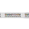 100Pcs Hygienic Disposable Measuring Strips With Adhesive Backing For Accurate Injury Assessment