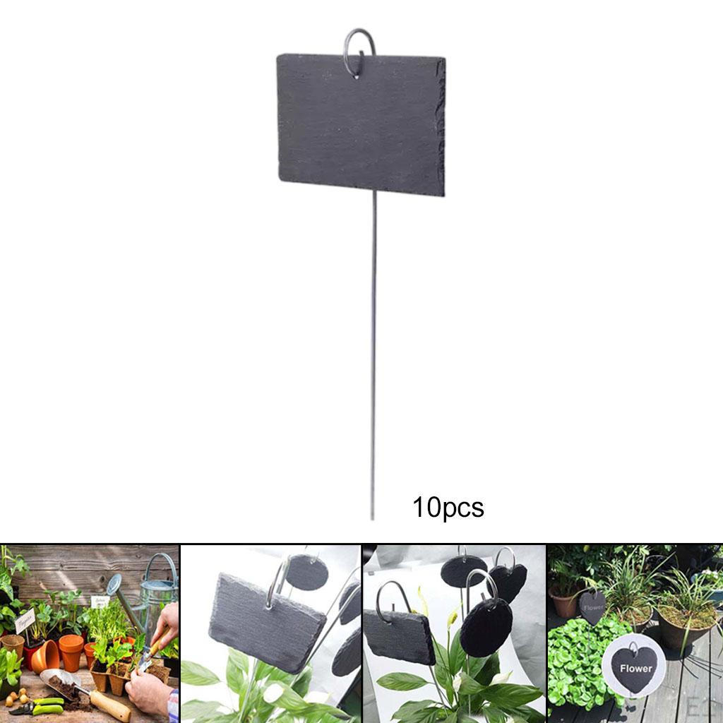Labels 10Pcs Signs Garden Markers Slate for