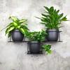 Jungle Hanging Wall Flower Stand, Modern Metal Holder for 3 Pots, Black, Horizontal