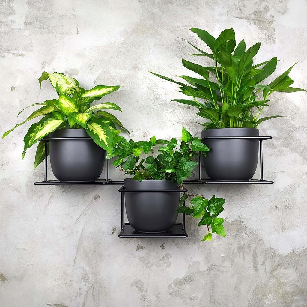 Jungle Hanging Wall Flower Stand, Modern Metal Holder for 3 Pots, Black, Horizontal