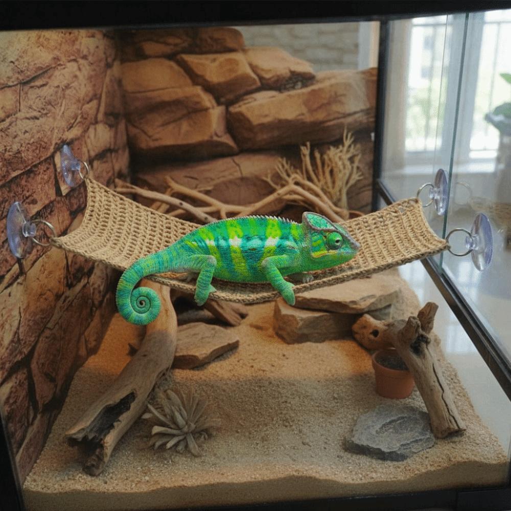 Suction Cup Lizard Hammock Breathable Mesh Reptile Mesh Hammock Pet Climbing Net  Reptile Play