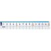 Japanese Product 15cm Plastic Ruler for Elementary School Students