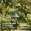 Hanging Bird Feeder Distressed with Tray Sturdy for Gardeners