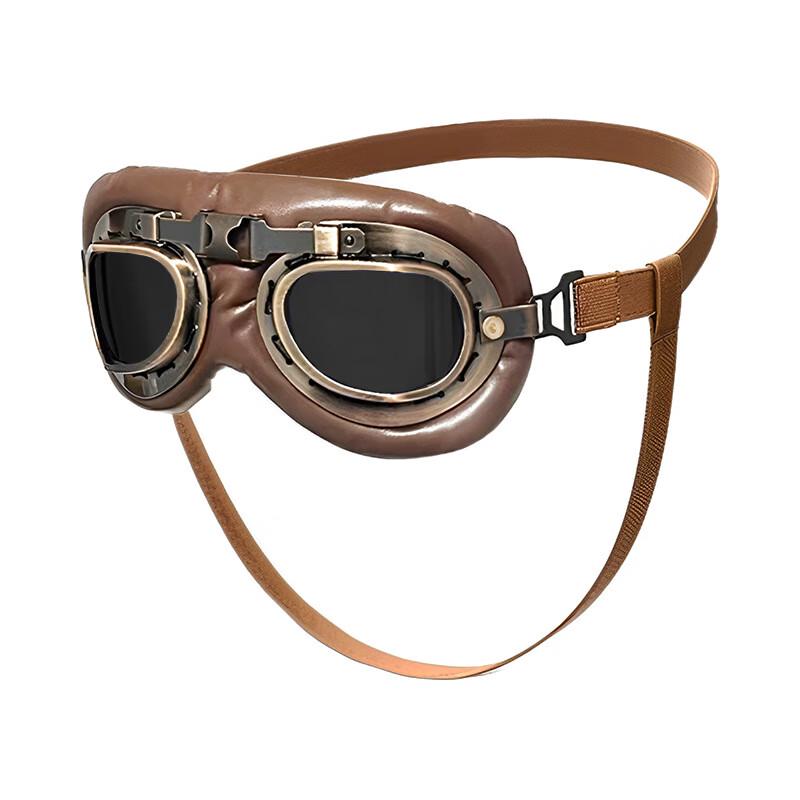 Pet Foldable Sunglasses