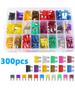100/300 Pcs Car Fuse Assortment Kit 150 Blade Standard Auto Fuse and 150 Mini Car Fuse with Fuse Puller for RV Camper Boat Truck