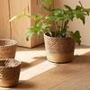 Plant Organizer Flower Pots 3 Size Desktop Indoor Outdoor Planter Woven Seagrass Baskets Decorative for Home Garden Container