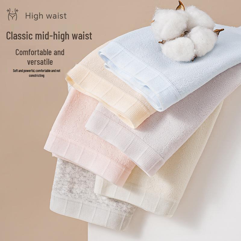 10A Seamless Women's Pure Cotton Antibacterial Plus Size Briefs with Extended Crotch & Breathable Design