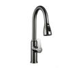 TUTTI 304 Stainless Steel Pull-out Kitchen Faucet