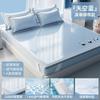 New Ice Silk & Ice Rattan Cooling Mat Set Dual-Sided Reversible Washable Bedding for Home Dorm Multi-Size