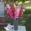 Gladiolus Blooms for Decor