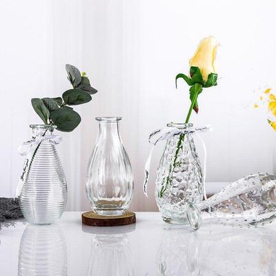 Nordic Transparent Glass Vase for Fresh or Dried Flowers – Mini Home Decoration Ornament