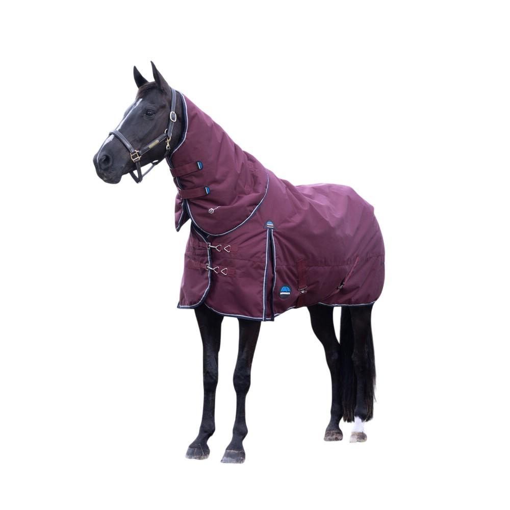 Weatherbeeta Comfitec Essential Detachable Neck 220g Horse Turnout Rug