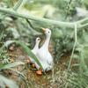 Micro Landscape Decoration Resin Handicraft Decoration Garden Decoration Simulation Mother Child Duck Courtyard Decoration