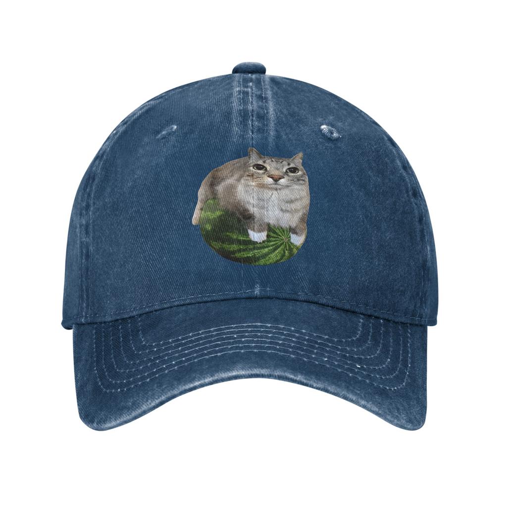 Vintage Watermelon Cat Silly Cat Meme Baseball Caps Unisex Style Distressed Washed Headwear Funny Outdoor Summer Soft Caps Hat