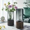Simple Retro Light Luxury Wooden Base Glass Vase Water Nourishing Flowers Transparent Glass Vase Dining Table Decoration