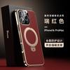 IPhone 16 Pro Max Case With Stand 15 14 Magnetic Shockproof Leather Stylish
