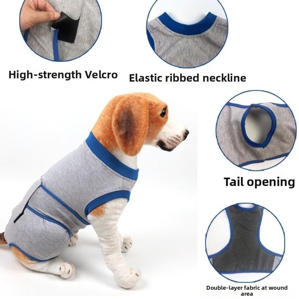 Breathable Dog Sterilization Clothes Soft Pet Anti-Licking Suit Dog Overalls  Daily Wear