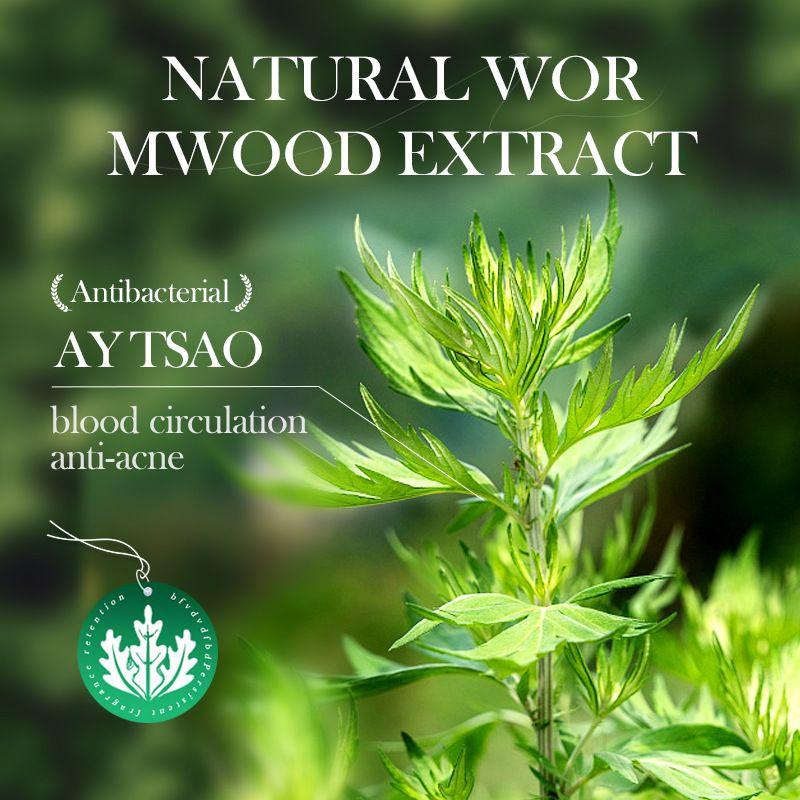 40g Mugwort Mud Mask Stick, Deep Cleansing, Removes Acne And Blackheads, Gently Repairs The Skin, Controls Oil And Moisturizes