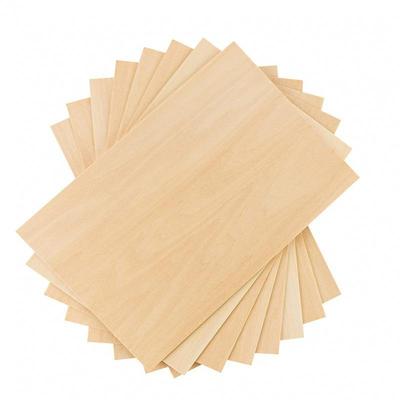 10Pcs 15X10Cm Basswood Boards - 2Mm Thin Unfinished Wooden Sheets For Craft & Model Making Decorative Wood Chips
