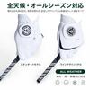 GloveGuruGolf golf gloves mens 2 types pieces set left hand all-weather high durability