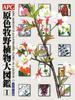APG Color Illustrated Flora of Japan Vol. 1