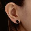 (SILVER925) Colored Bean Gemstone Earring EC1921
