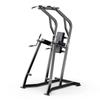 Qiuqiao Multi-functional Pull-up & Dip Station