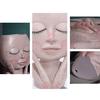 Face Planter Pot with Drainage Hole Resin Lady Statue Flower Pot for Office Garden Patio
