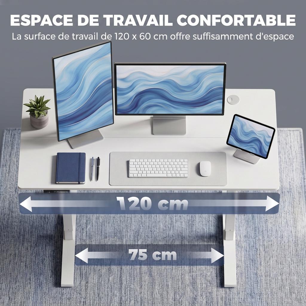 Electric Sit-Stand Desk, 120 x 60 cm, Height Adjustable