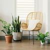 10pcs Flower Pot Mat Garden Plant Round Pot Base Clear Snack High Quality