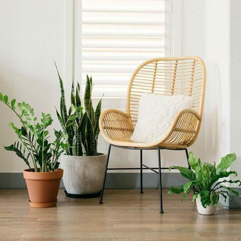 10pcs Flower Pot Mat Garden Plant Round Pot Base Clear Snack High Quality