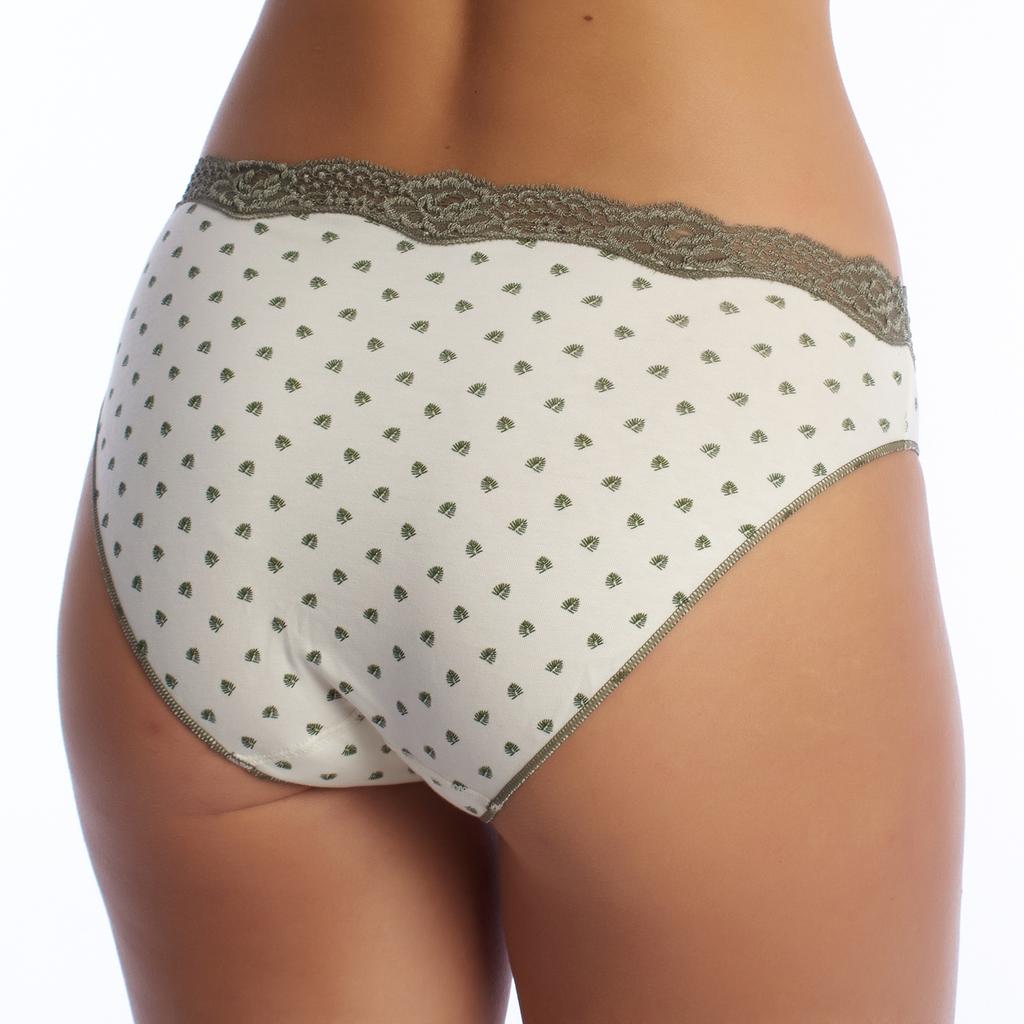 Pack-2 Brislip Coquettes Cotton Panties 1031497 for Women