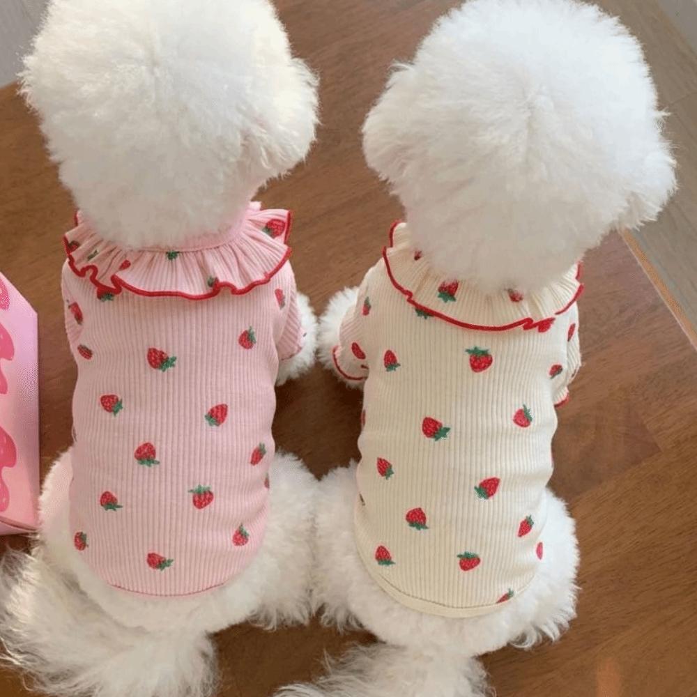 Comoda Pettorina per Cani Primavera Autunno Abbigliamento Cane Gatto Carino Animale Domestico Maglietta Base Fragola Cane/Gatto Medio/Piccolo